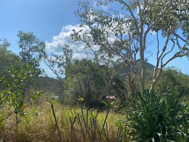 Sixth view of Homely land listing, Lot CV Awesome Blue, Keswick Island, Mackay QLD 4740