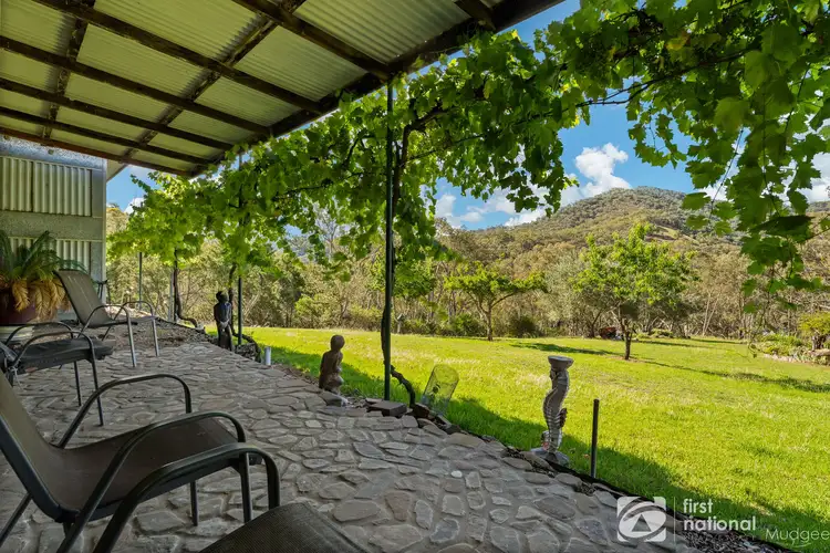 Third view of Homely rural property listing, 669 Maitland Bar Road, Mudgee NSW 2850