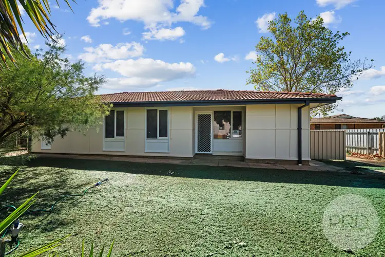 Main view of Homely house listing, 163 Raye Street, Tolland NSW 2650