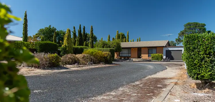 Main view of Homely house listing, 16 Fordham Avenue, Naracoorte SA 5271