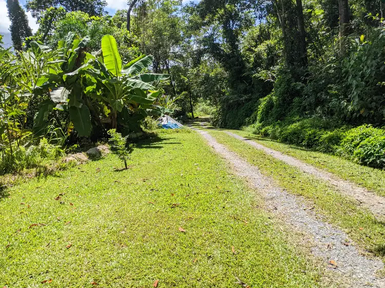 Third view of Homely house listing, 58 Poletti Road, Miallo QLD 4873