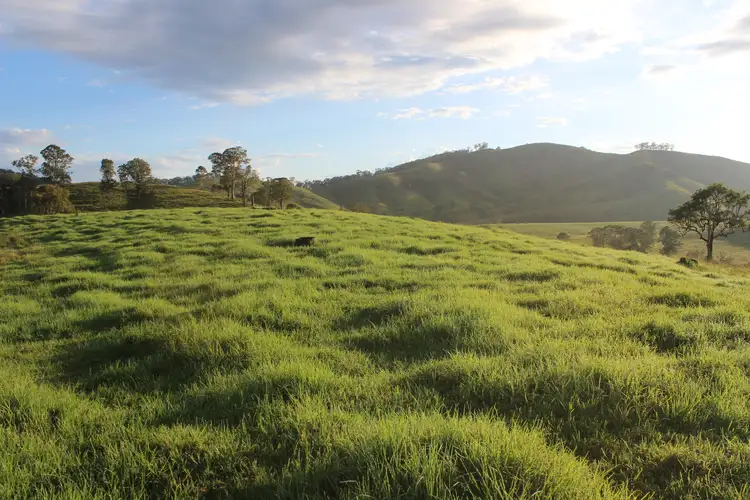 Third view of Homely rural property listing, 'Three Pines' 127 & 153 Bakers Creek Road, Bakers Creek NSW 2422