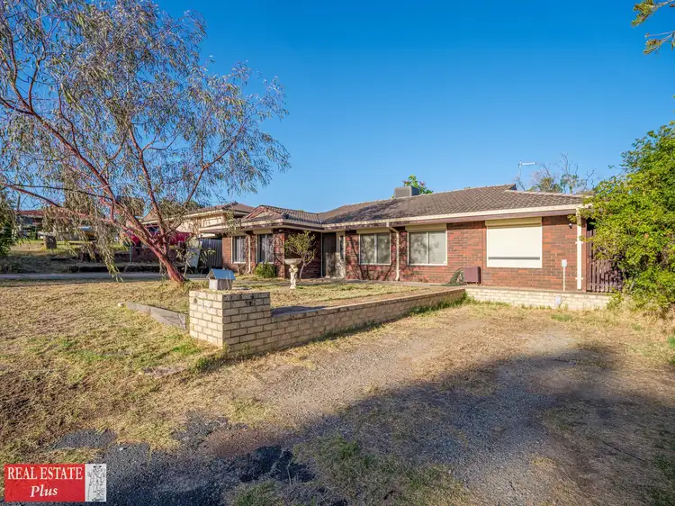 Main view of Homely house listing, 19 Carlton Place, Swan View WA 6056