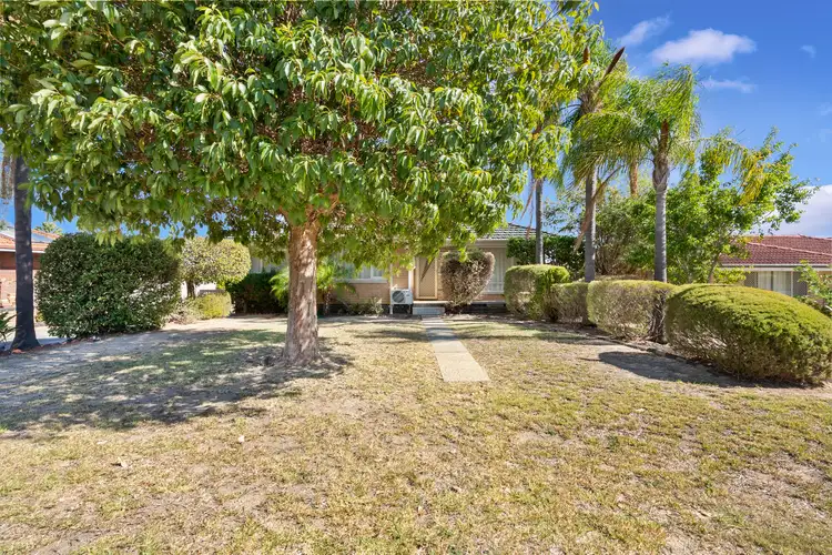 Main view of Homely house listing, 67 Talbot Road, Swan View WA 6056
