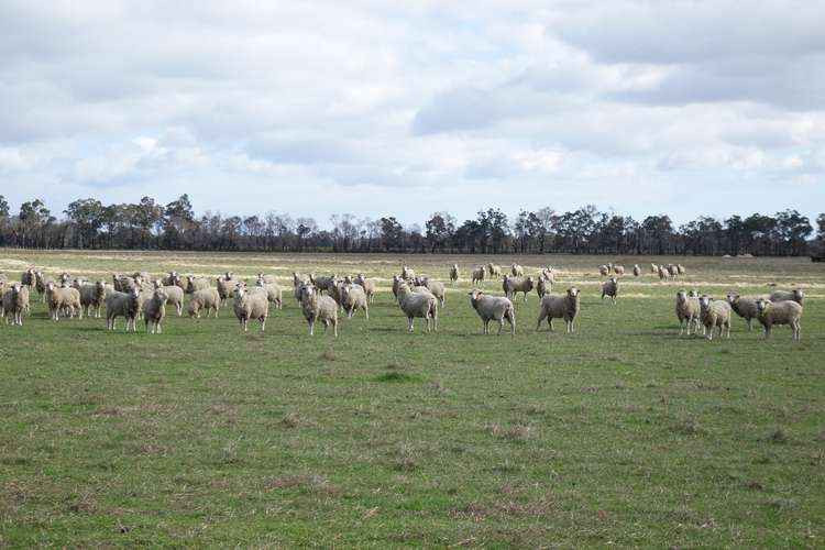 Fourth view of Homely mixedFarming listing, 944 Boallia Road, Boallia WA 6280