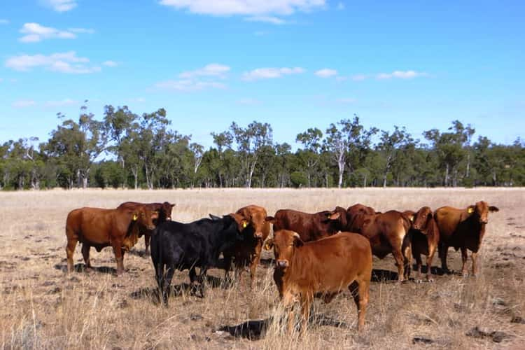 THE CHEQUERS, Dulacca QLD 4425