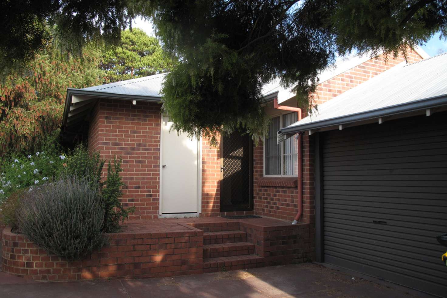 Main view of Homely house listing, 17B Meadow Street, Guildford WA 6055