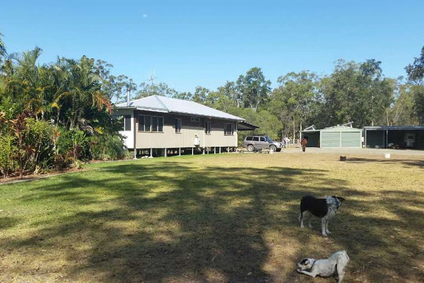Main view of Homely acreageSemiRural listing, 262 Murphy Rd, Captain Creek QLD 4677