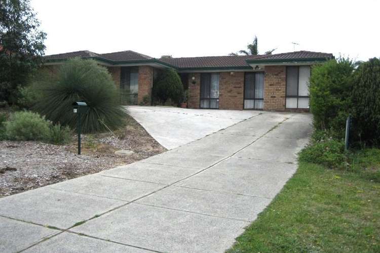 Main view of Homely studio listing, 65B Quickly Crescent, Hamilton Hill WA 6163