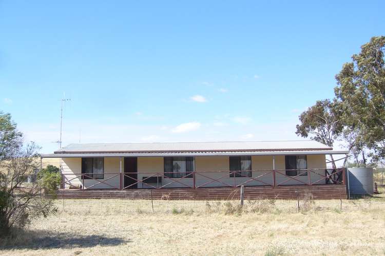 Main view of Homely house listing, - Stone Hut Caltowie Road, Caltowie SA 5490