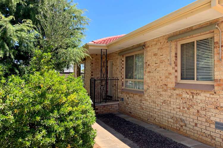 Main view of Homely house listing, 17 Cranbrook Avenue, Magill SA 5072