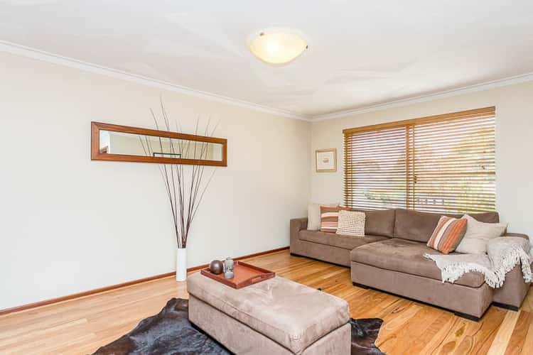 Main view of Homely house listing, 33 Dover Road, Scarborough WA 6019