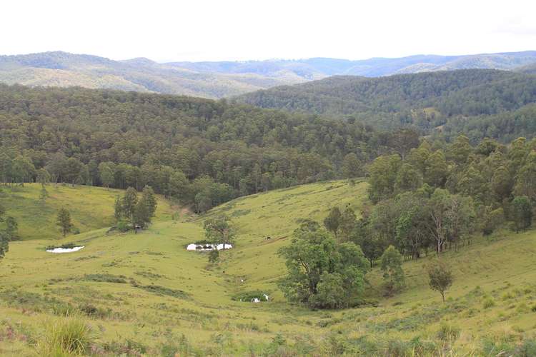 Main view of Homely livestock listing, 23 Cells River Road, Yarrowitch NSW 2354