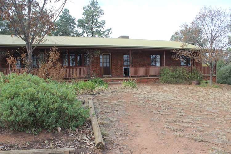 Main view of Homely house listing, 147 Mirrool St, Coolamon NSW 2701