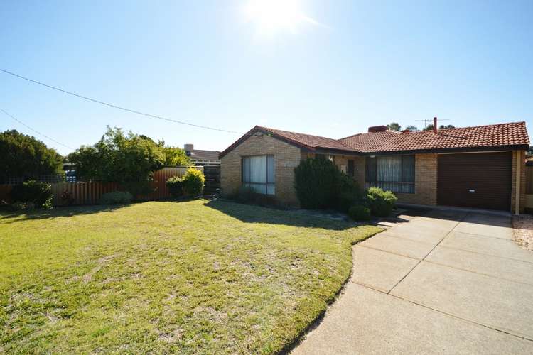 Main view of Homely house listing, 259A St Kilda Road, Kewdale WA 6105