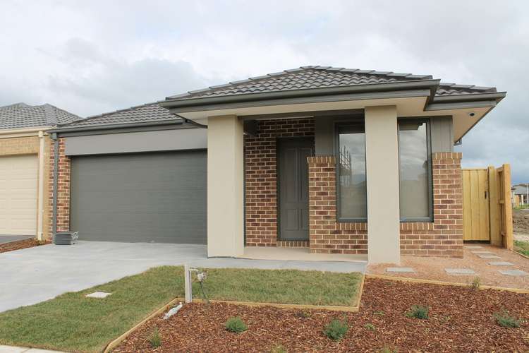 Main view of Homely house listing, 30 Dingo Street, Point Cook VIC 3030