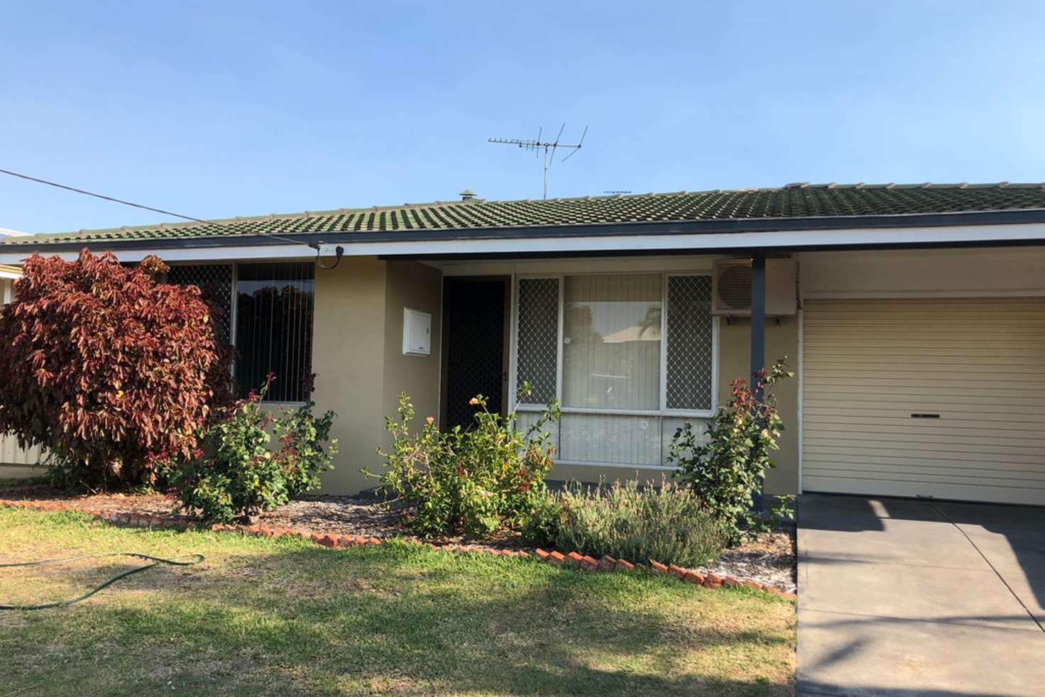 Main view of Homely house listing, 93 Jean Street, Hamilton Hill WA 6163