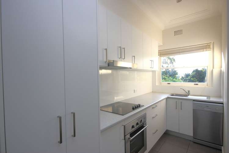 Main view of Homely house listing, 19 Faye Avenue, Blakehurst NSW 2221