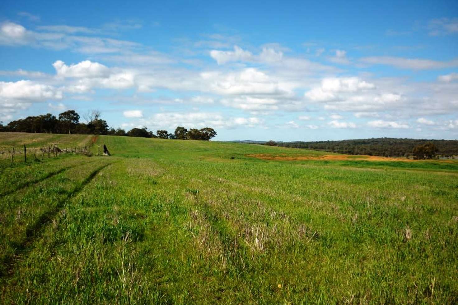 Main view of Homely mixedFarming listing, 4601 Doyle Road, Bokal WA 6392