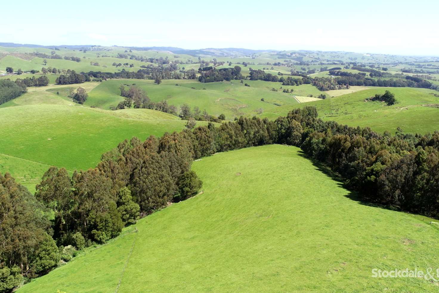 Main view of Homely acreageSemiRural listing, 1260 Boolarra South - Mirboo North Road, Mirboo North VIC 3871