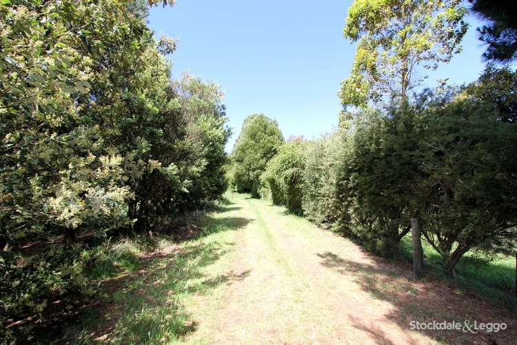 Second view of Homely acreageSemiRural listing, 1260 Boolarra South - Mirboo North Road, Mirboo North VIC 3871