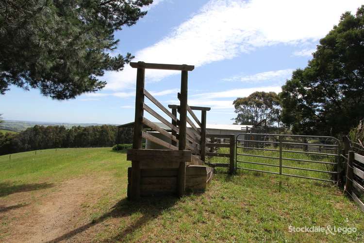 Third view of Homely acreageSemiRural listing, 1260 Boolarra South - Mirboo North Road, Mirboo North VIC 3871