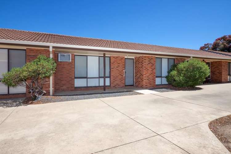 Third view of Homely unit listing, 4/16 Bulolo Street, Ashmont NSW 2650