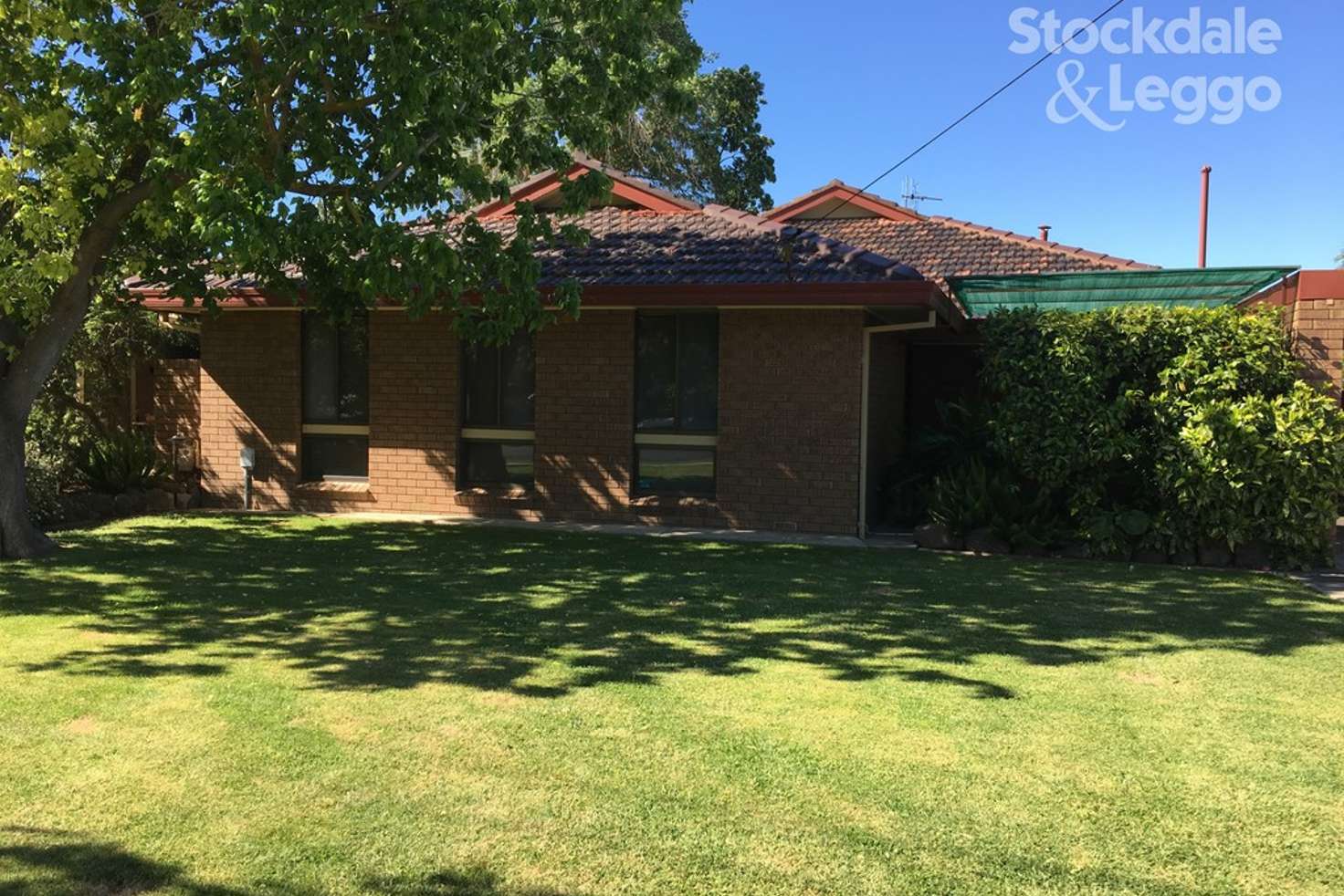 Main view of Homely house listing, 77 Sutcliffe Street, Shepparton VIC 3630