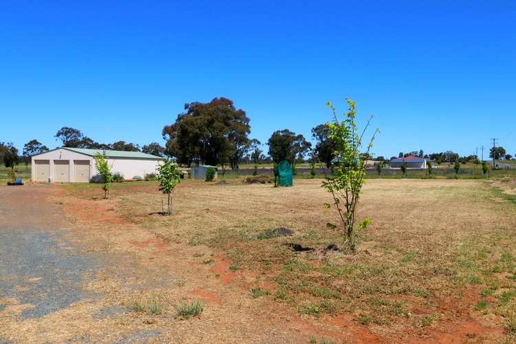 Main view of Homely house listing, 14 Harrier Street,, Temora NSW 2666