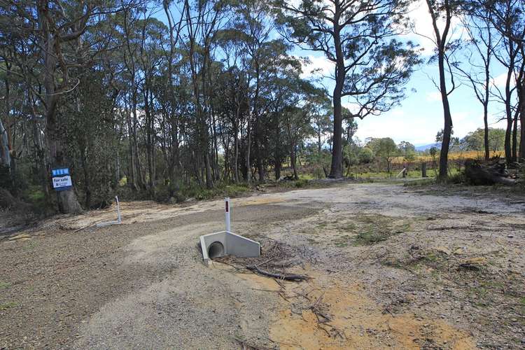 Third view of Homely lifestyle listing, Lot 1 Elephant Pass Road, St Marys TAS 7215