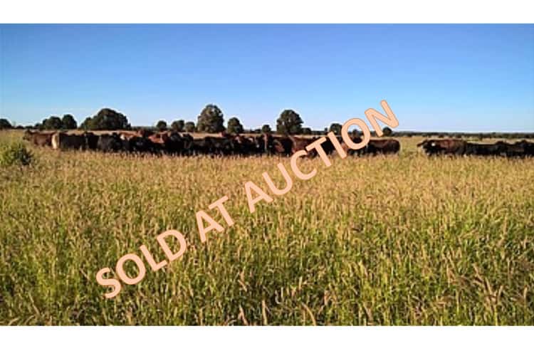 Main view of Homely livestock listing, 1013 Bundalba Road, Goovigen QLD 4702