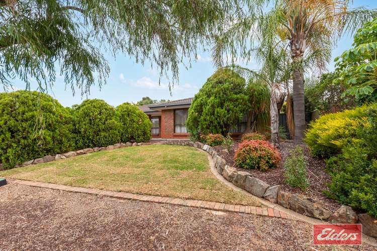 Second view of Homely house listing, 41 Cork Road, Gawler East SA 5118