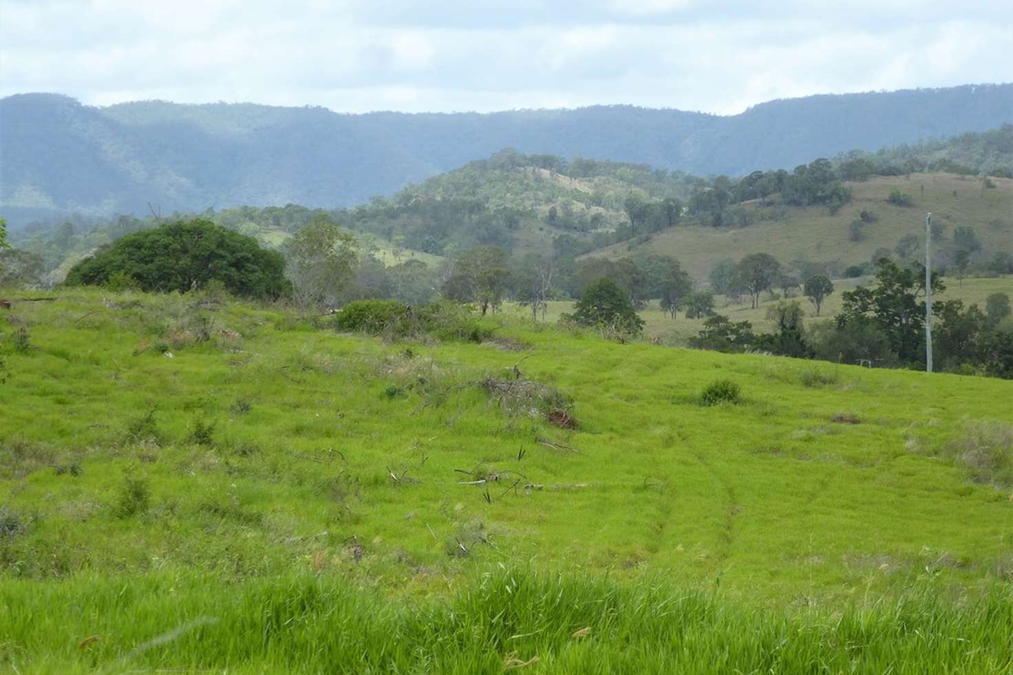Main view of Homely livestock listing, Lot 116 Blackman Gap Road, Colosseum QLD 4677