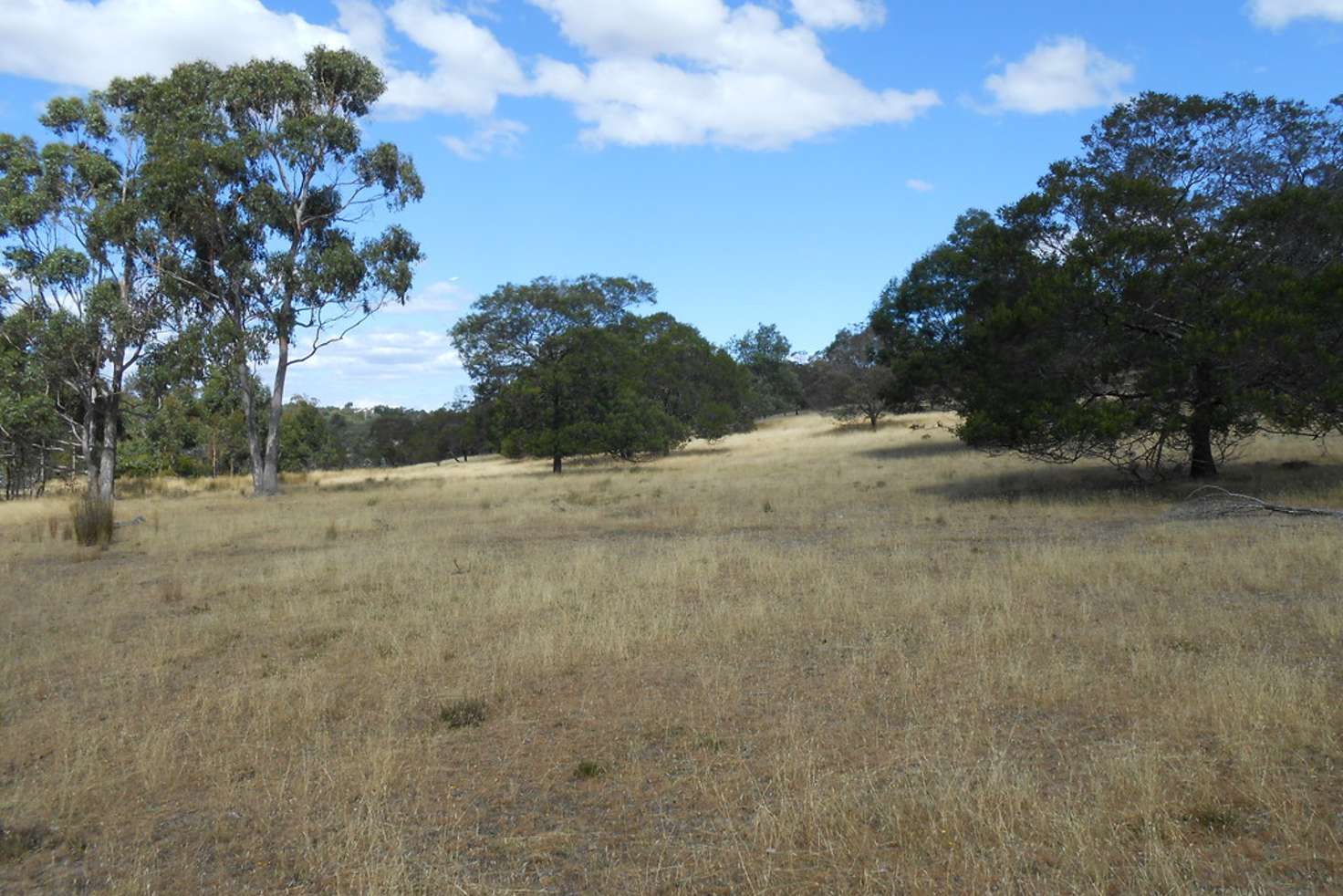 Main view of Homely residentialLand listing, Lot 3/5 Collins Street, Perth TAS 7300