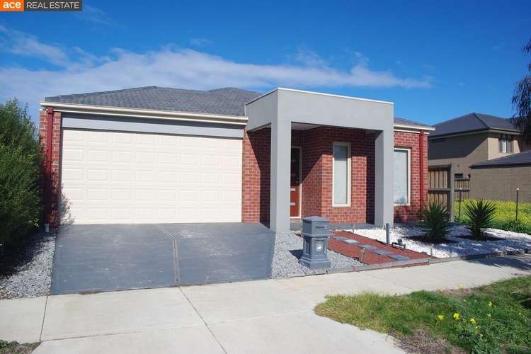 Main view of Homely house listing, 36 Hollywood Avenue, Point Cook VIC 3030