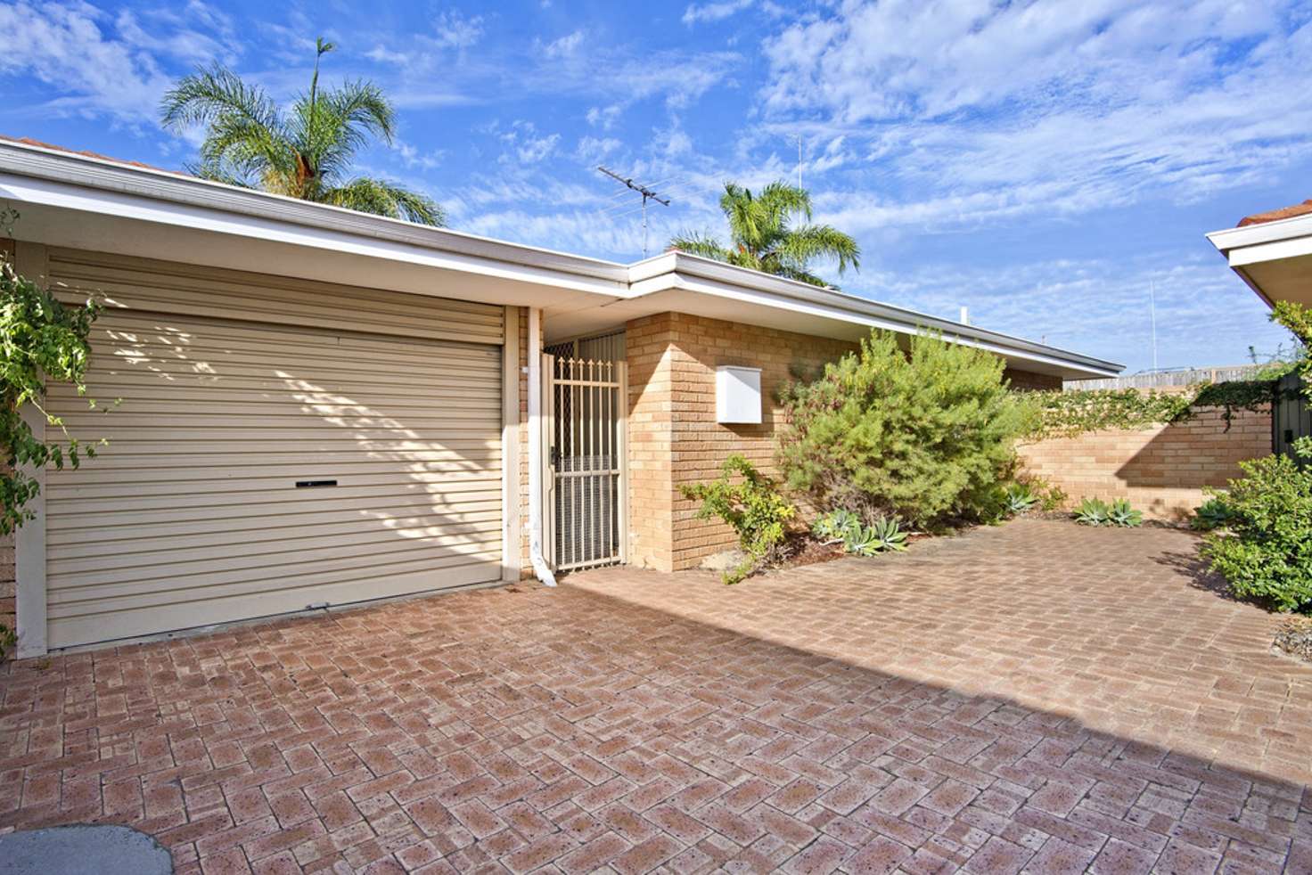 Main view of Homely unit listing, 3/178 Kitchener Road, Booragoon WA 6154