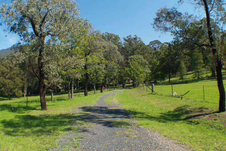 Second view of Homely acreageSemiRural listing, 3739 Snowy Mtns Hwy, Bemboka NSW 2550