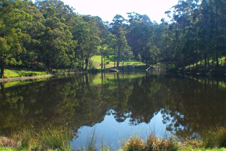 Third view of Homely acreageSemiRural listing, 3739 Snowy Mtns Hwy, Bemboka NSW 2550