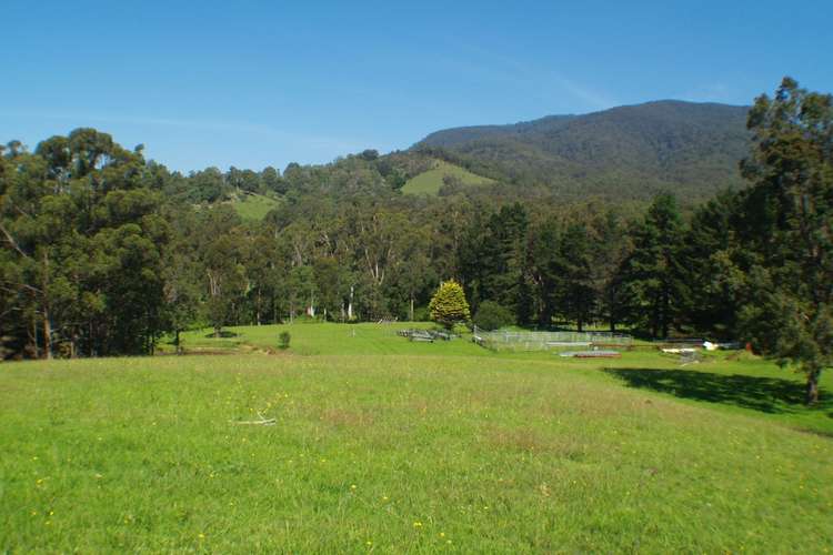 Fifth view of Homely acreageSemiRural listing, 3739 Snowy Mtns Hwy, Bemboka NSW 2550