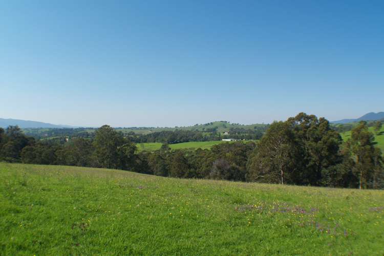 Seventh view of Homely acreageSemiRural listing, 3739 Snowy Mtns Hwy, Bemboka NSW 2550
