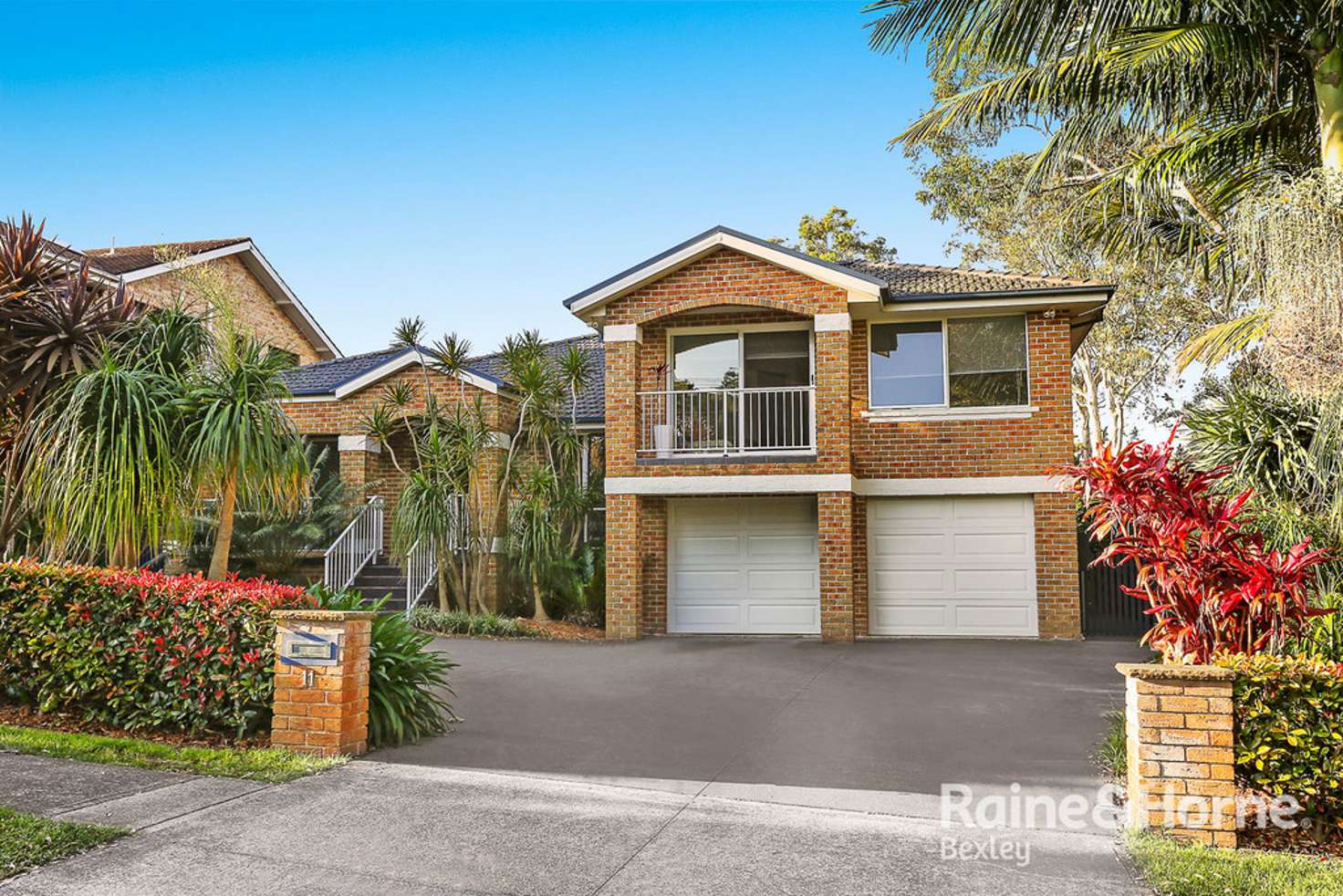 Main view of Homely house listing, 11 ACTINOTUS AVENUE, Caringbah South NSW 2229