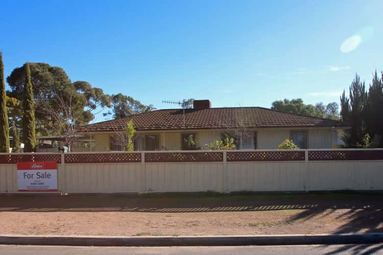 Main view of Homely house listing, 41 Sims Parade, Renmark SA 5341