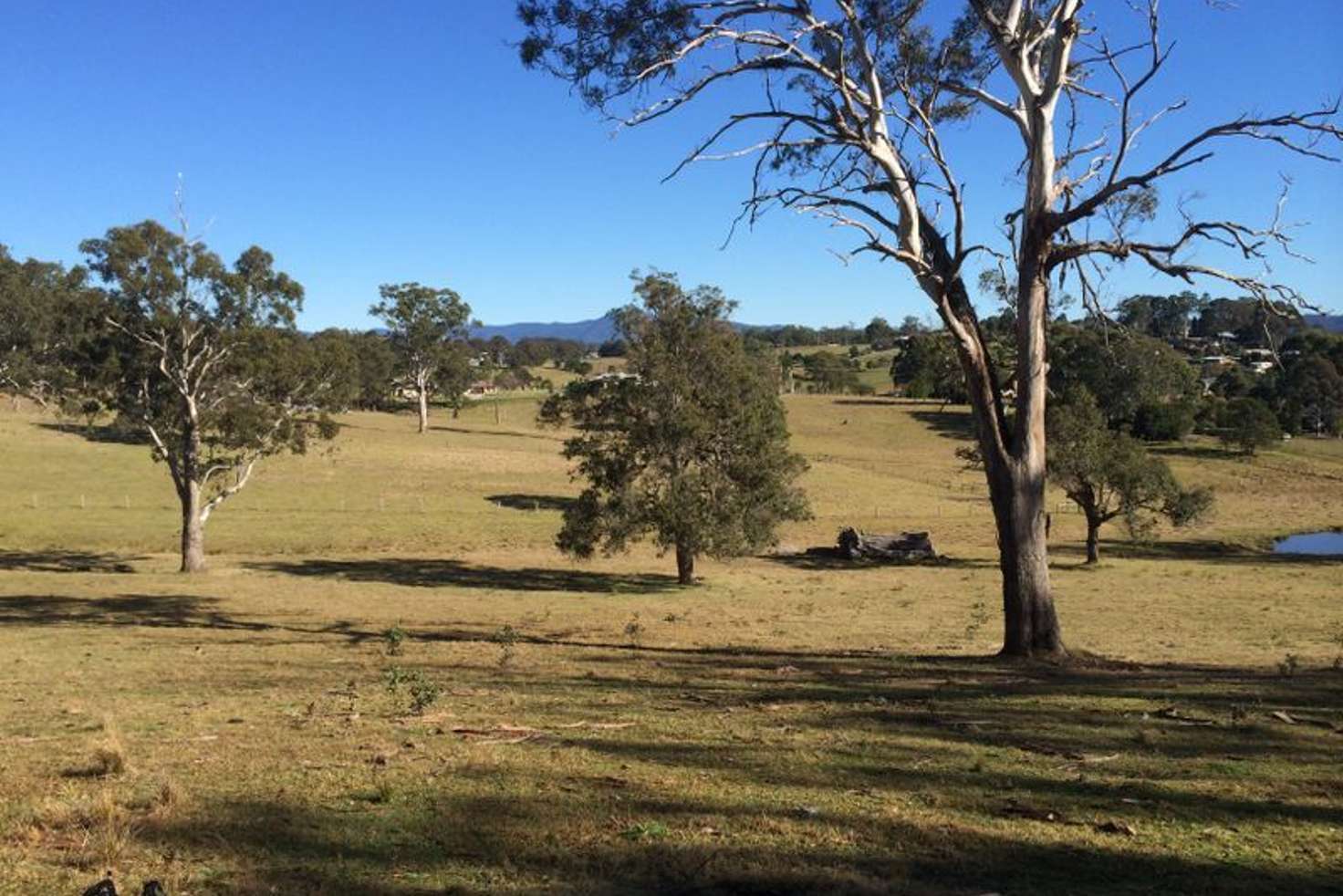 Main view of Homely residentialLand listing, Lot 4 Albert Street, Moruya NSW 2537