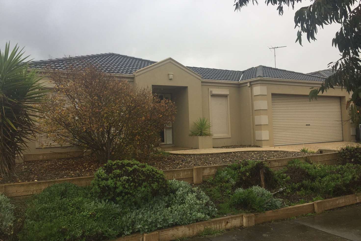 Main view of Homely house listing, 11 Sanja Court, Grovedale VIC 3216