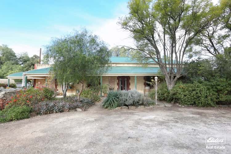 Main view of Homely house listing, 364 Thiele Highway, Roseworthy SA 5371