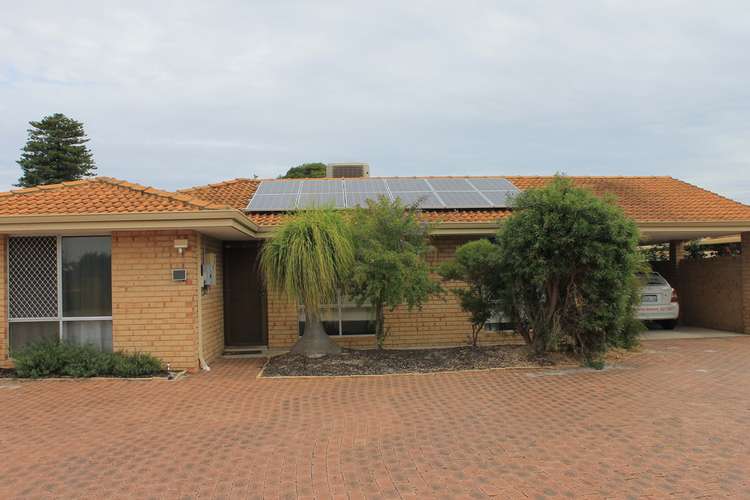 Main view of Homely villa listing, 3/106 Alexander Road, Rivervale WA 6103