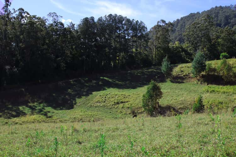 Third view of Homely residentialLand listing, Lot 3a 198 Gungas Road, Nimbin NSW 2480