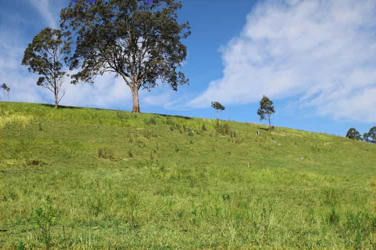 Fifth view of Homely residentialLand listing, Lot 3a 198 Gungas Road, Nimbin NSW 2480