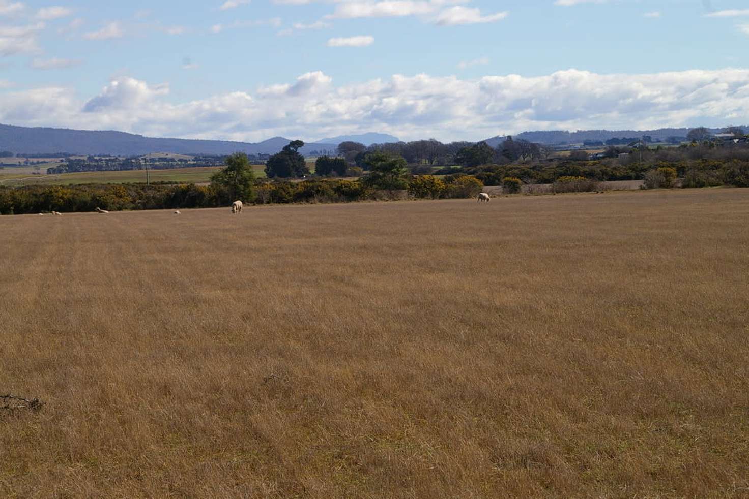 Main view of Homely residentialLand listing, 75 Clayfield Road, Bishopsbourne TAS 7301