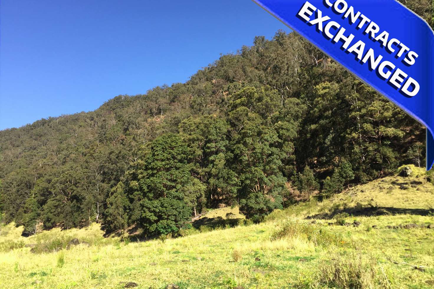 Main view of Homely residentialLand listing, Lot 7 365 Lindsay Road, Larnook NSW 2480